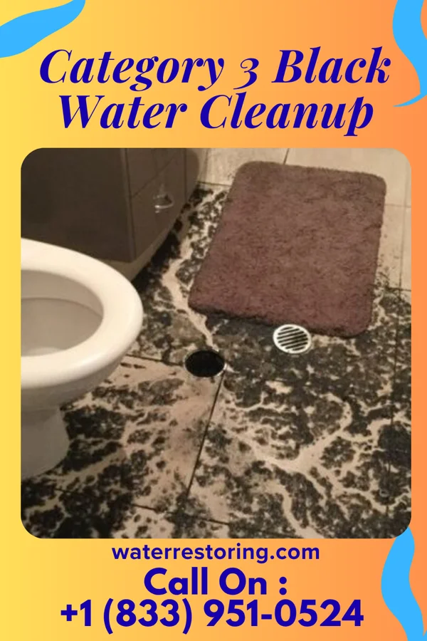Category 3 Black Water Cleanup in Lynnville, IN