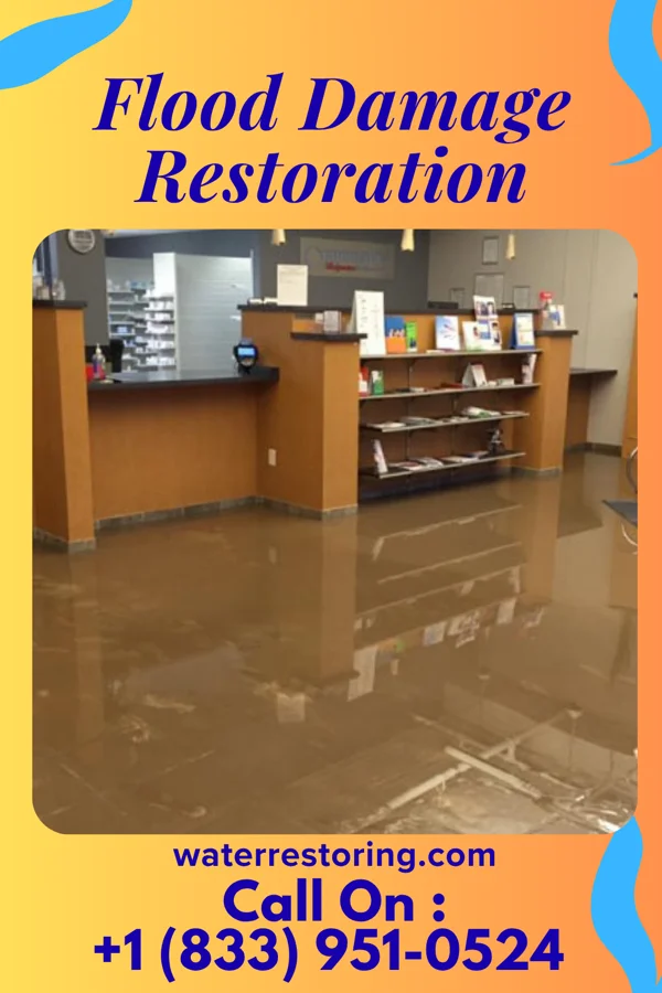 Flood Damage Restoration in Lynnville, IN