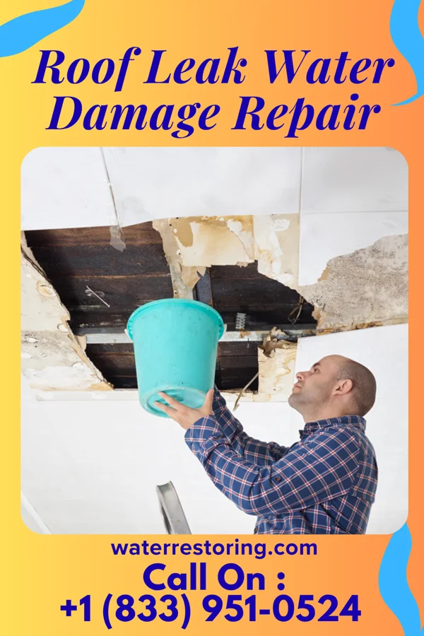 Roof Leak Water Damage Repair in Lynnville, IN
