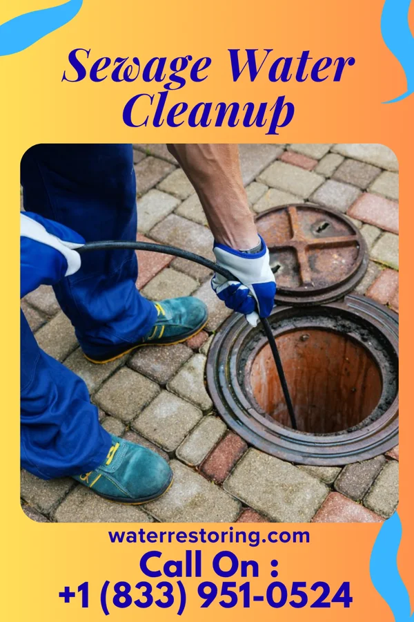Sewage Water Cleanup in Lynnville, IN
