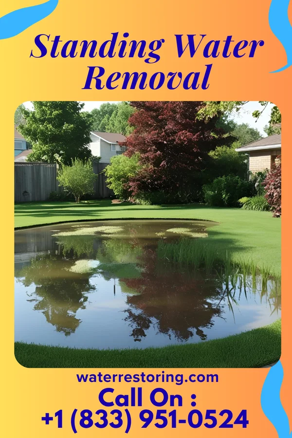 Standing Water Removal in Lynnville, IN